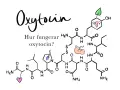 Bilden visar den kemiska strukturen för oxytocin, med symboler för fortplantning och kärlek. Texten "Hur fungerar oxytocin?" ställer en fråga om detta viktiga hormon.