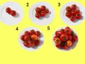 Fem tallrikar med ökande antal tomater, från två till många. En visuell guide för att förstå tomat kcal i olika portioner.