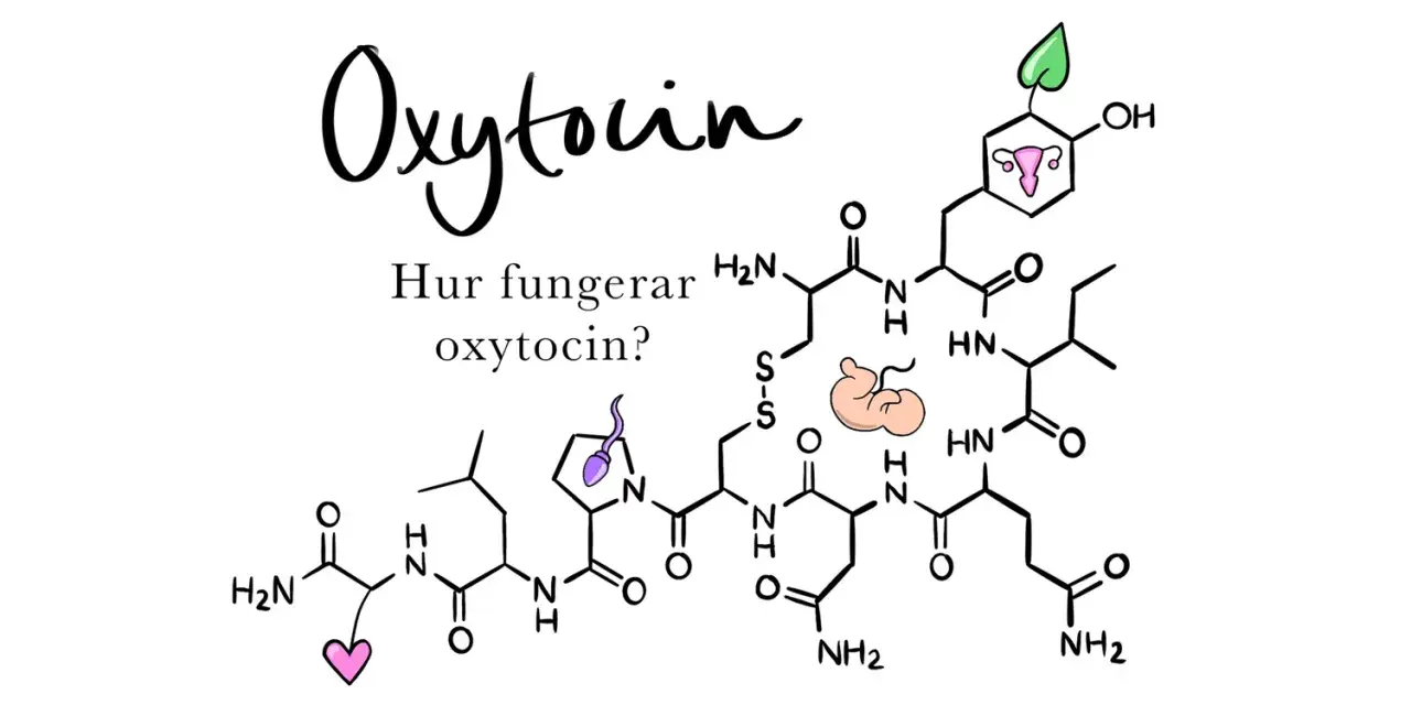 Bilden visar den kemiska strukturen för oxytocin, med symboler för fortplantning och kärlek. Texten "Hur fungerar oxytocin?" ställer en fråga om detta viktiga hormon.