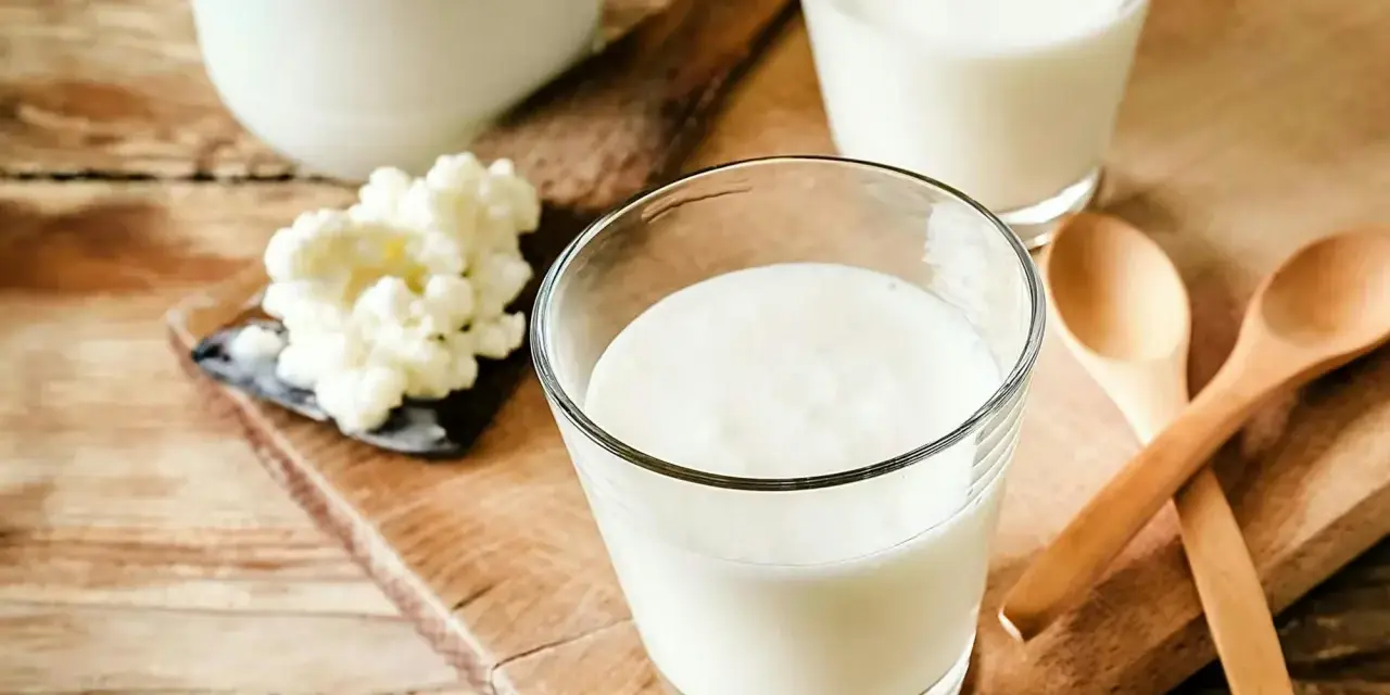 Två glas med krämig kefir står på en träskärbräda. Bredvid syns kefir-kultur och två träskedar. Kefir nyttigt för magen!
