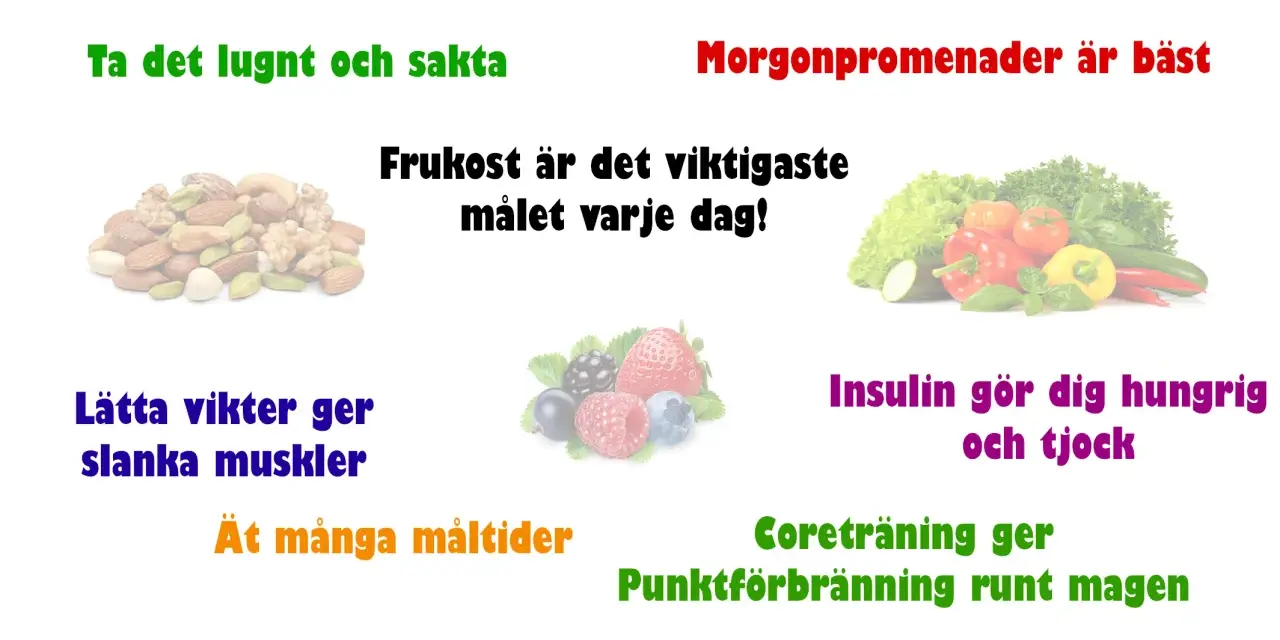 Tips för att gå ner i vikt: frukost är viktigast, ät ofta, träna och ta det lugnt.