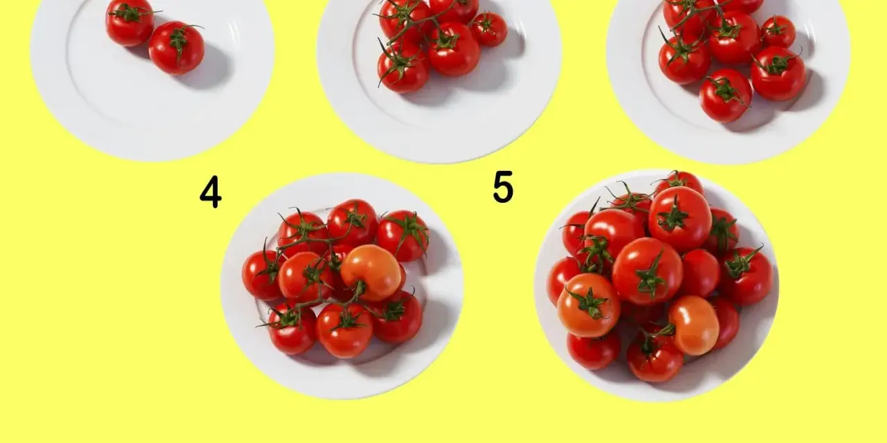 Fem tallrikar med ökande antal tomater, från två till många. En visuell guide för att förstå tomat kcal i olika portioner.