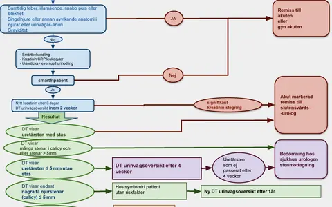 Flödesschema för njursten. Beskriver symtom som feber, illamående, smärta, och hur man utreder misstänkt cysta på binjuren symtom.