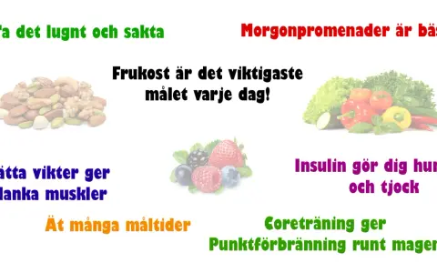 Tips för att gå ner i vikt: frukost är viktigast, ät ofta, träna och ta det lugnt.