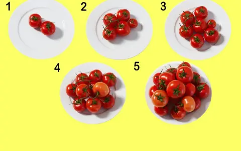Fem tallrikar med ökande antal tomater, från två till många. En visuell guide för att förstå tomat kcal i olika portioner.