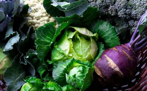 En korg fylld med färska grönsaker: spetskål nyttigt, blomkål, broccoli och kålrabbi.