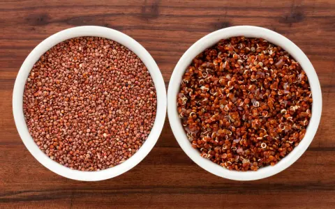 Två skålar med quinoa, en med råa frön och en med kokt. Quinoa nyttigt för en hälsosam kost.