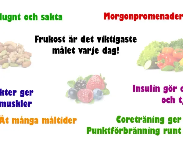 Tips för att gå ner i vikt: frukost är viktigast, ät ofta, träna och ta det lugnt.