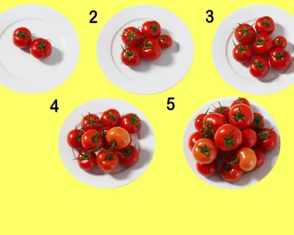 Fem tallrikar med ökande antal tomater, från två till många. En visuell guide för att förstå tomat kcal i olika portioner.