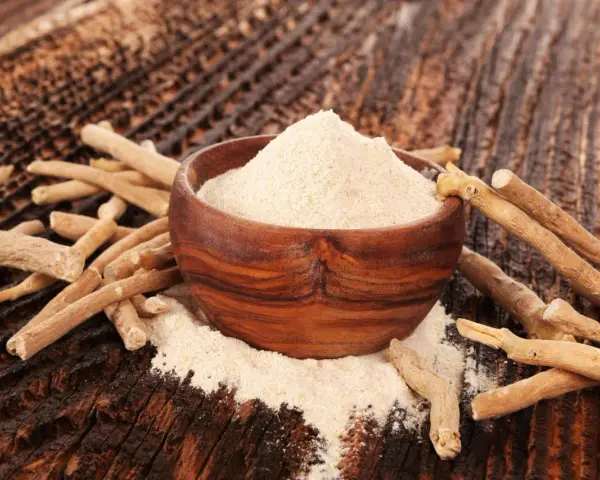 Ashwagandha-pulver i en träskål omgivet av rötter. Ett naturligt stöd för kvinnor under klimakteriet.