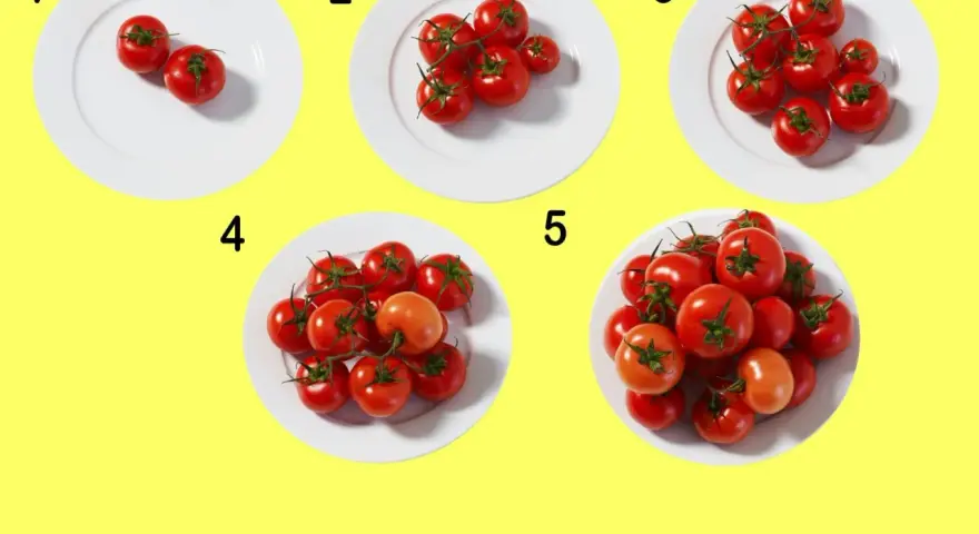 Fem tallrikar med ökande antal tomater, från två till många. En visuell guide för att förstå tomat kcal i olika portioner.