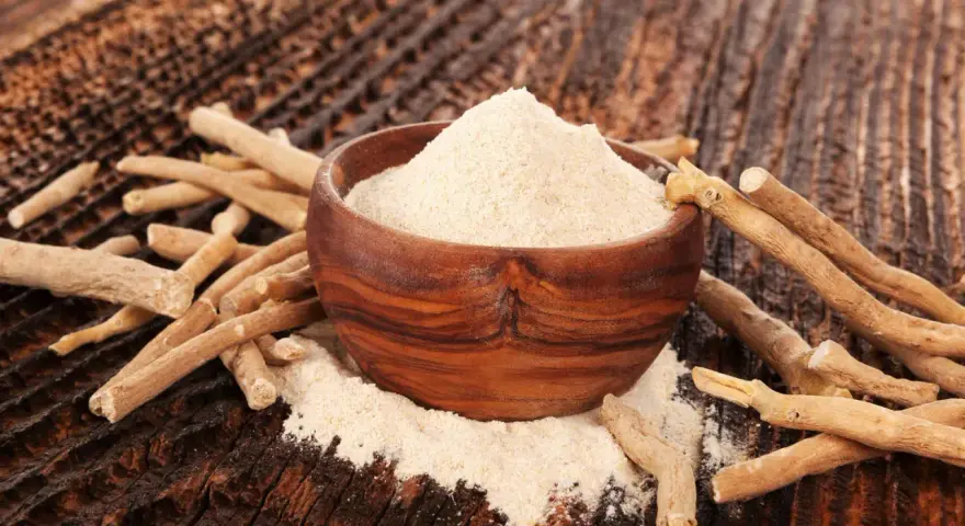 Ashwagandha-pulver i en träskål omgivet av rötter. Ett naturligt stöd för kvinnor under klimakteriet.