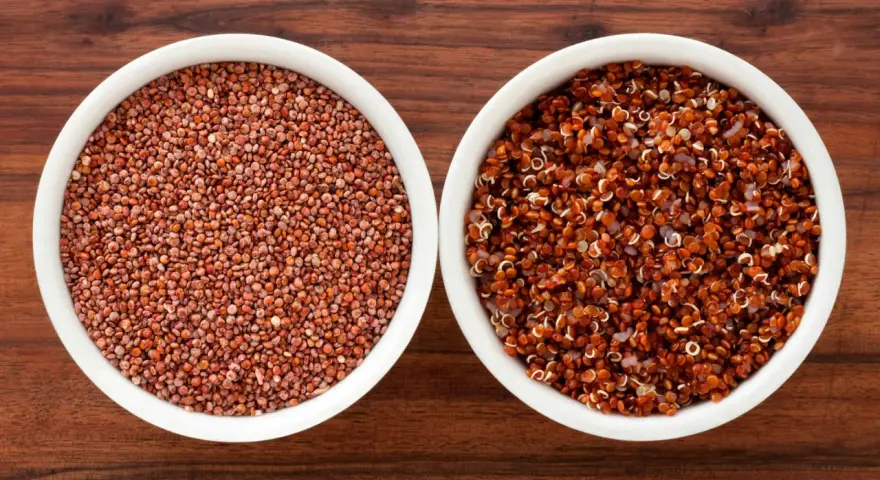 Två skålar med quinoa, en med råa frön och en med kokt. Quinoa nyttigt för en hälsosam kost.