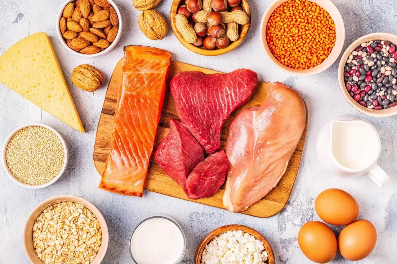 En variation av proteinrik mat: lax, nötkött, kyckling, ägg, ost, nötter, linser, bönor, havre, quinoa och mjölk.