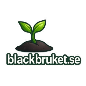 blackbruket.se