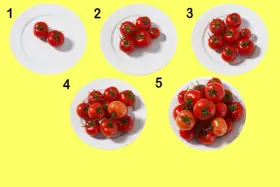 Fem tallrikar med ökande antal tomater, från två till många. En visuell guide för att förstå tomat kcal i olika portioner.
