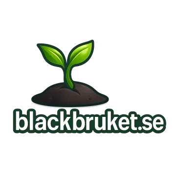 Logo blackbruket.se